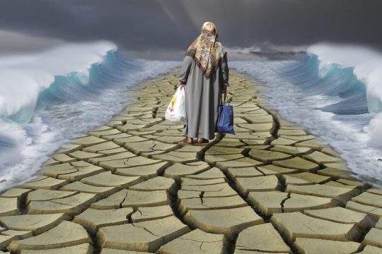 Οι αυτόχειρες του «πολιτισμού των απορριμμάτων»