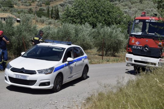 Ιεράπετρα: Υπό μερικό έλεγχο η φωτιά στην περιοχή Μέσονας