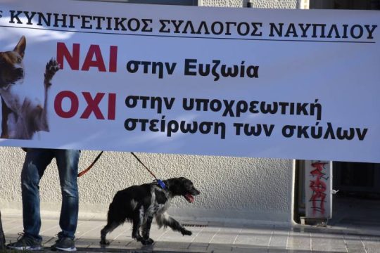 Γενικευμένη αντίθεση από τους φορείς στο νομοσχέδιο για τα ζώα συντροφιάς