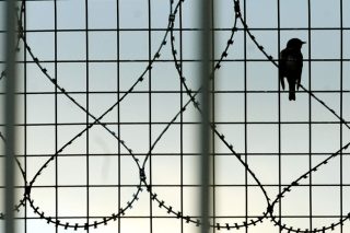 Αυταρχισμός με θεσμικό μανδύα