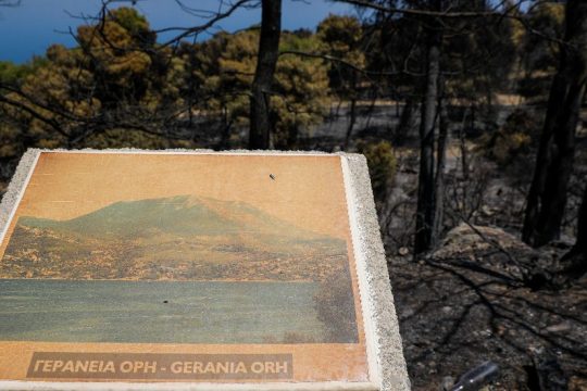 Μικρές διάσπαρτες εστίες στα λαβωμένα Γεράνεια Όρη – Αποτιμούν την καταστροφή