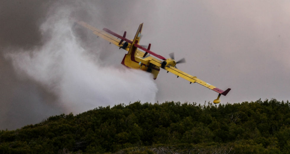 Πυρκαγιά σε δασική έκταση στη Νέα Πέραμο Αττικής