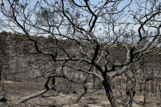 Πυρκαγιές: κονδύλια στην καταστολή, όχι στην πρόληψη