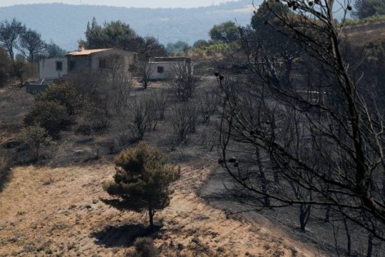 Σε ύφεση επιτέλους η πυρκαγιά στα Γεράνεια Όρη