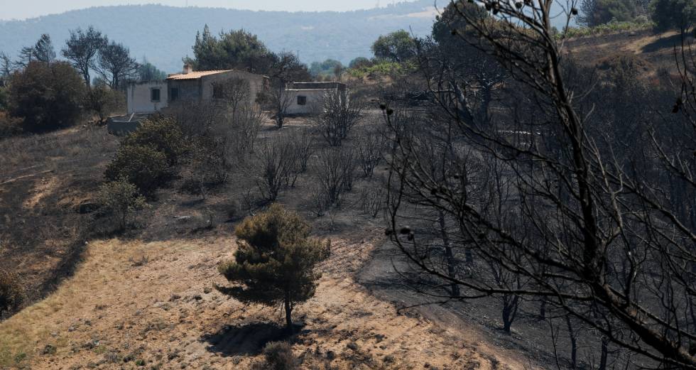 Σε ύφεση επιτέλους η πυρκαγιά στα Γεράνεια Όρη