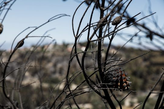 Τα Μέγαρα… Κορινθίας και πράσινη ανάπτυξη