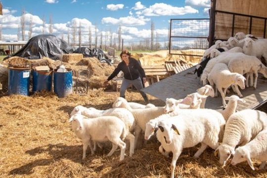Ο Ιανός της απώλειας και της επανεκκίνησης