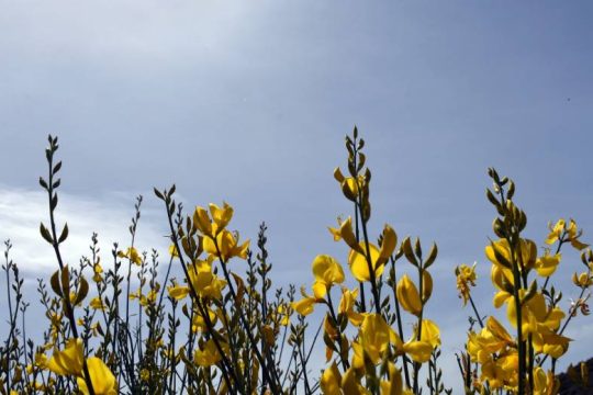 Αίθριος καιρός με ολίγη από συννεφιά και βροχή