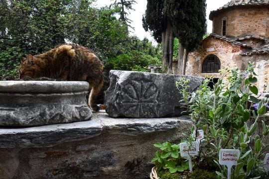 ΚΑΣ όπως CASH