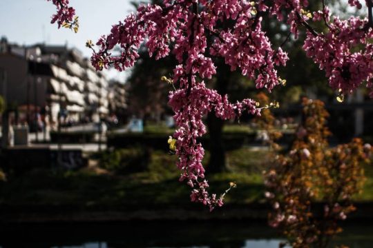 Καλοκαιρία, βοριαδάκι και μικρή πιθανότητα βροχής