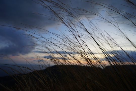Χαράματα για το ταξίδι στα Κύθηρα (Για τη μητέρα)