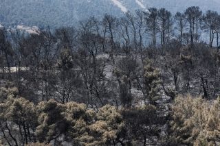 Θα πέσει φωτιά να μας (ξανα)κάψει…