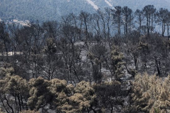 Θα πέσει φωτιά να μας (ξανα)κάψει…