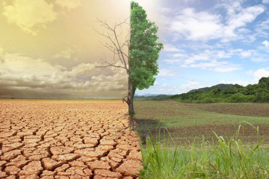 Η συμμαχία για κλιματικό νόμο στην Ελλάδα μεγαλώνει