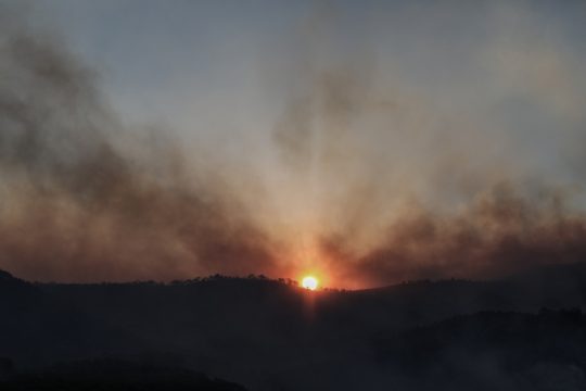 Ολονύκτια μάχη με τις φλόγες στην Ηλεία