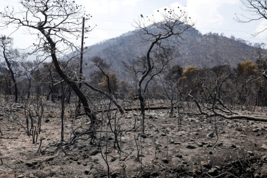Το αποτύπωμα της καταστροφής από την πυρκαγιά σε Κορινθία και Αττική [βίντεο]
