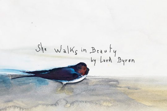 She walks in beauty