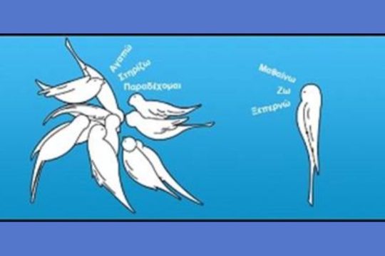 Επιστολή-διαμαρτυρία για αποκλεισμό καρκινοπαθών από κατασκήνωση στην Καβάλα