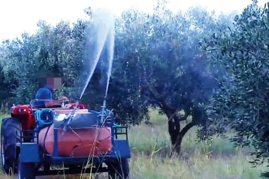 Κρήτη: «Ανύπαρκτοι επόπτες στη δακοκτονία οδηγήσαν στον θάνατο του εργάτη»