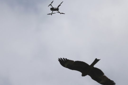 drones