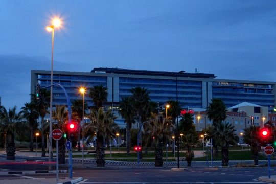 Ψηφιακές «μαϊμούδες» στον καιρό της πανδημίας
