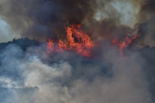 Φωτιά σε δασική έκταση στο Αργοστόλι Κεφαλονιάς
