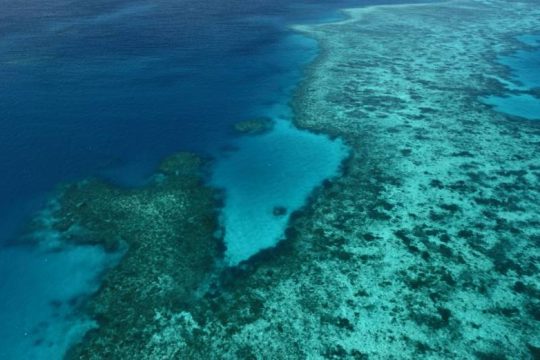 UNESCO: Να μπει στη λίστα των Μνημείων σε κίνδυνο ο Μεγάλος Κοραλλιογενής Ύφαλος