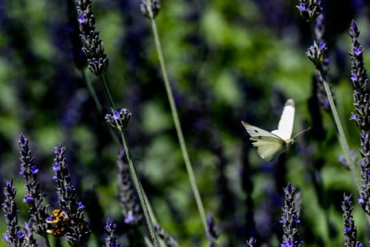 Καλός καιρός – «Μια από τα ίδια» το θερμόμετρο
