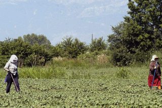 Η ρύπανση των παγκόσμιων εδαφών