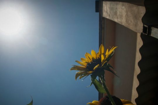 Μετά τις βροχές, έρχεται καύσωνας