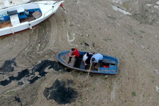 Ανησυχία για τη βλέννα στις ακτές της Λήμνου