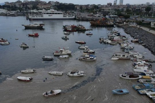 Ο Ερντογάν δεσμεύτηκε να λύσει το πρόβλημα με τη «θαλάσσια βλέννα»