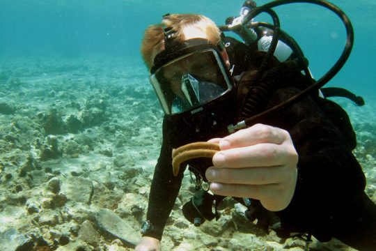 Ενα «ναυάγιο» 750.000 ευρώ!