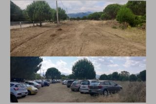 Εκχερσώσεις και κοπές δέντρων στο Πάρκο Σχινιά