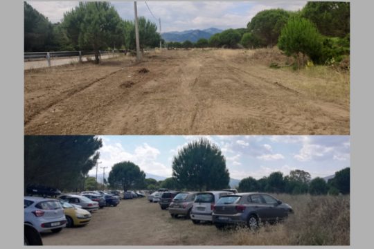 Εκχερσώσεις και κοπές δέντρων στο Πάρκο Σχινιά