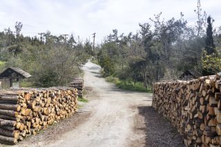 Προχωράει με μπηχτές ο καθαρισμός του Σέιχ Σου