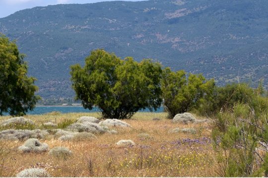Δρόμοι και μονοπάτια