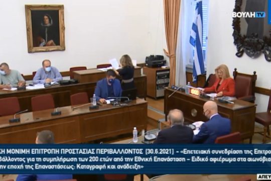 Κλαρίνα και «Ιτιά, ιτιά» σε επιτροπή της Βουλής [βίντεο]