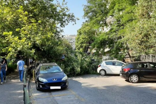 Μικρή αναστάτωση