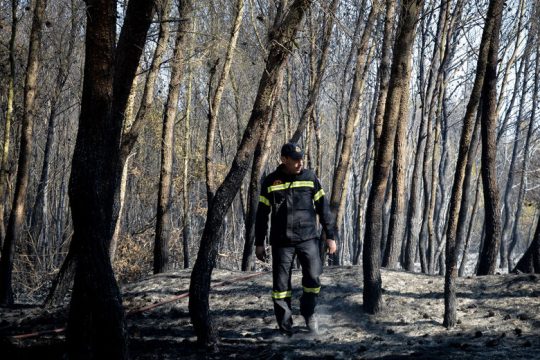 Πολύ υψηλός κίνδυνος πυρκαγιάς αύριο σε Αττική και Εύβοια