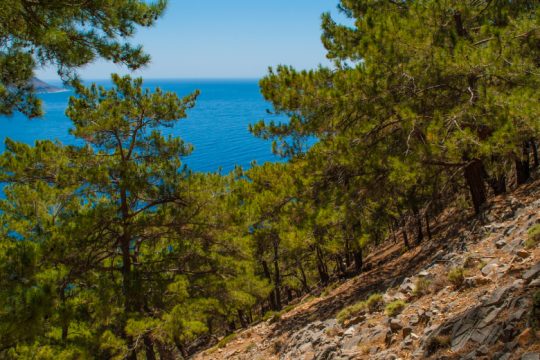 Σώος και ασφαλής ο Πολωνός που είχε χαθεί στα νότια των Χανίων