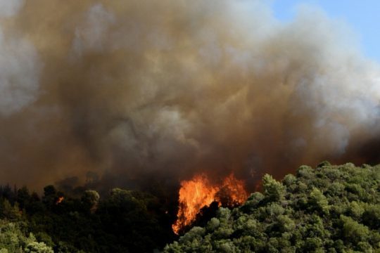 ΚΙΝ.ΑΛΛ.: Μεγάλες οι ευθύνες της κυβέρνησης για τις θλιβερές εικόνες στην Αχαΐα