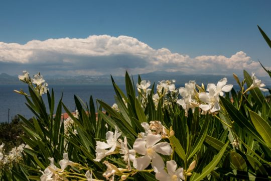 Κανονικές θερμοκρασίες, νεφώσεις και βροχές στα βόρεια ηπειρωτικά
