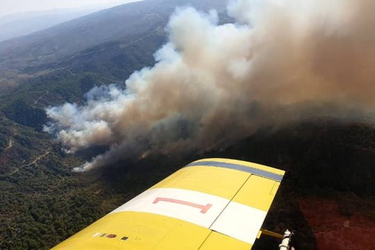 Μεγάλη φωτιά καταστρέφει δάσος και περιουσίες στην Κύπρο