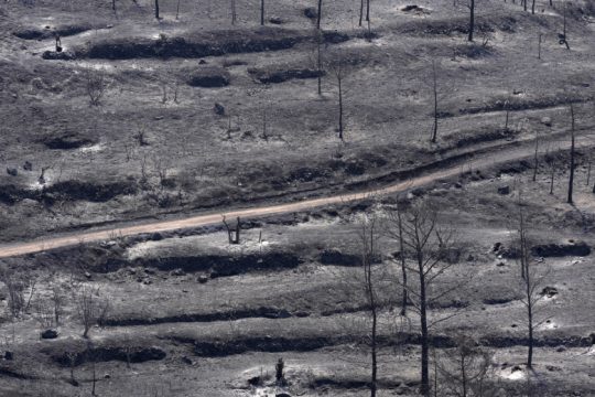 Μετρούν πληγές στην Κύπρο, μια μέρα μετά τη φονική πυρκαγιά