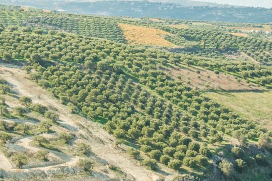 Σε… αγρανάπαυση η διαφάνεια