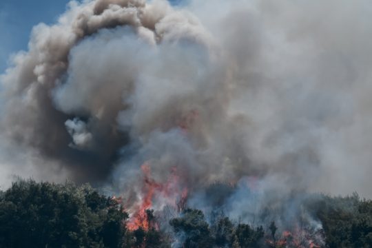 «Φουντώνουν» οι άνεμοι τα πύρινα μέτωπα σε Βαρνάβα, Εύβοια, Ελευσίνα και Βόλο