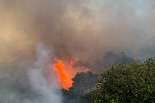Στα χέρια των αρχών ο φερόμενος εμπρηστής της Κεφαλονιάς