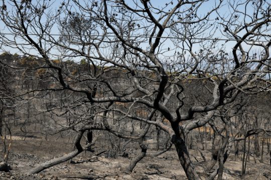 Σε ύφεση η φωτιά στη Δροσιά Αχαΐας
