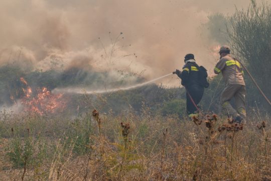 Πυρκαγιά στη Συκάμινο Ωρωπού